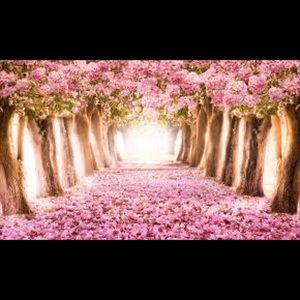 Meet your Posher, Teresa